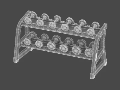 Technogym Two Tier Dumbbell Rack 6 Pairs 3D model