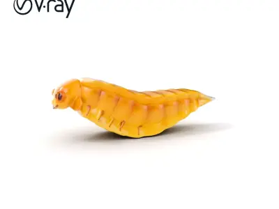 Insect Larva Model Pack for D Applications Low-poly 3D model