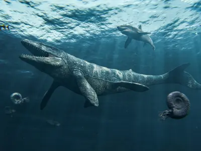 Mosasaurus Mosasaur Low-poly 3D model