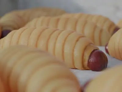 Larva Low-poly 3D model