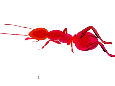 Insect ant 3D model