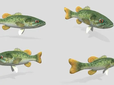 Fish Collection Animated - Game Ready Pack 1 Low-poly 3D model