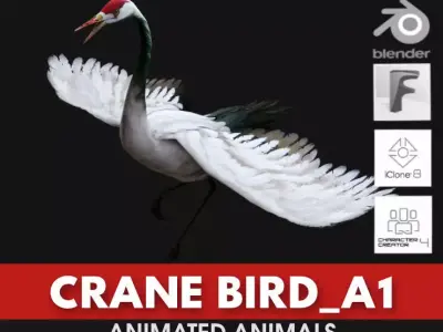 Crane Bird A1 3D model
