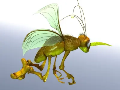 Mosquito Cartoon 3D model
