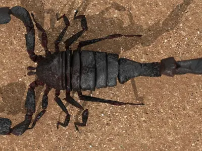 A highly detailed and UV textured 3d model of a scorpion 3D model