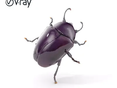 Iridescent Beetle D Model Pack with High Detail Low-poly 3D model