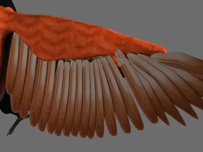 Munia Rigging and Animation 3D model