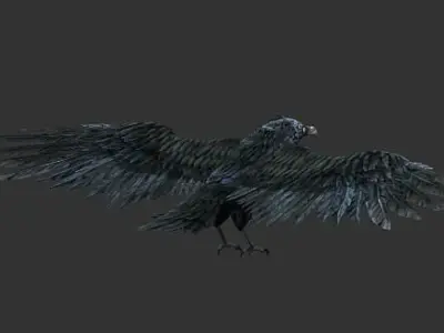 crow  bird Low-poly 3D model