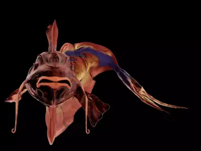Alien Aquatic Creature 3D model