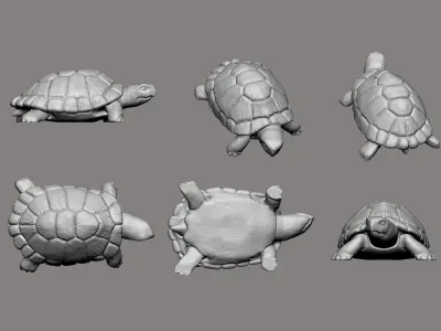 Tortoise toy turtle 3D print model