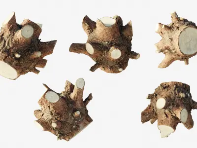 Scanned tree trunk firewood Low-poly 3D model