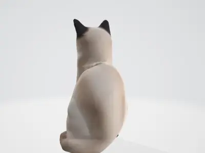Realistic Siamese Cat 3D Model 3D model