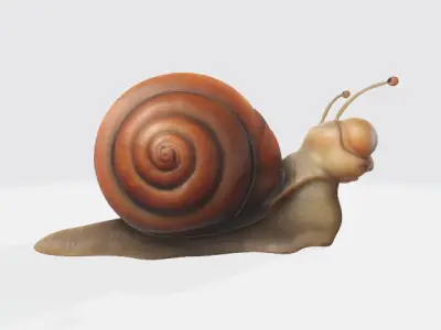 Cartoon snail 3D model
