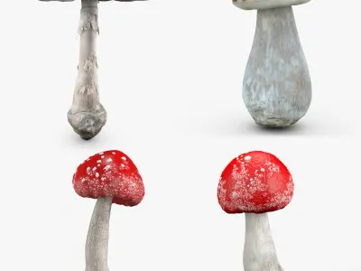 Mushroom Set 3D model