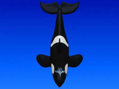 killer whale 3D model