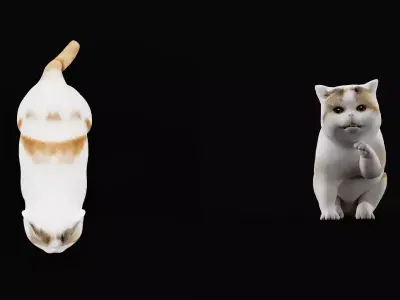 Exotic ShortHair Cat Free 3D model