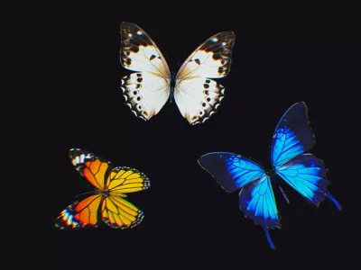 Butterfly Insect Flock Animated Fly Animal Wing Butterflies Low-poly 3D model