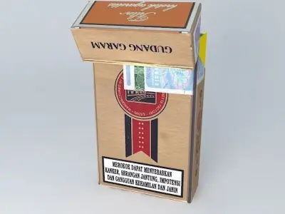 Gudang Garam International Filter Cigarettes 3D model