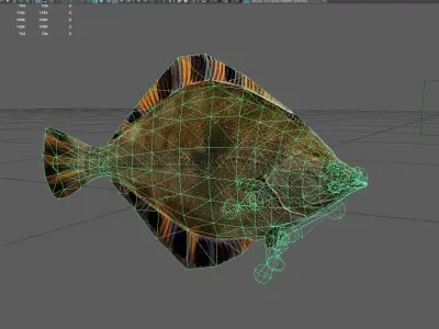 Flatfish Low-poly 3D model