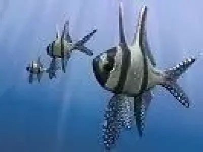 Benggai cardinal marine fish Low-poly 3D model