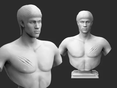 BRUCE LEE 3D Printable 3D print model