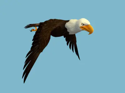 Eagle flying in sky 3D model
