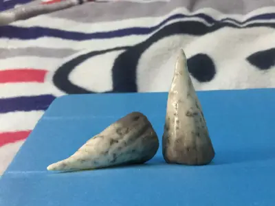 teeth pair of shark on blanket 3D model