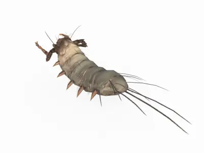 Mythical Warcraft Polypods 3D model