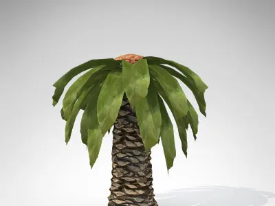 XfrogPlants Bjuvia 3D model