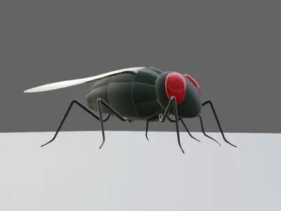 Mosquito - Fly Low-poly 3D model