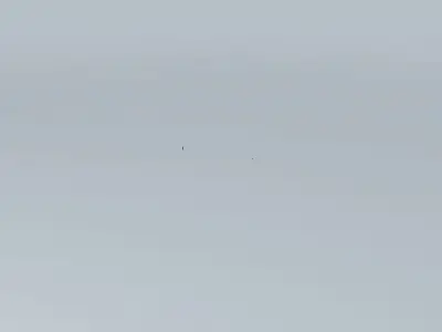 Air Canada 1981 and Lufthansa 2951 Airplane Crash Free 3D model