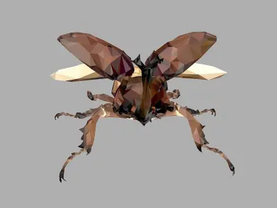 Chafer Beetle Low Polygon Art Insect Low-poly 3D model