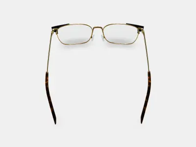 Ramona Eyeglasses in Jet Black with Polished Gold 3D model