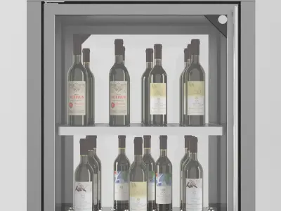 Wine cooler enofrigio 4v 1p h220 3D model
