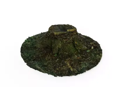 Forest Tree Stump 4K -Part 5- Free low-poly 3D model