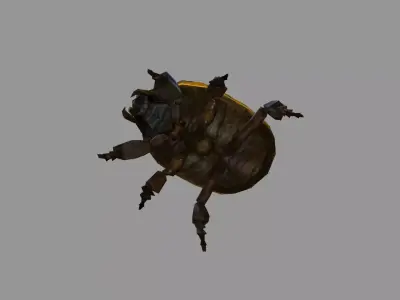 Cartoon Scarab Beetle Low-poly 3D model