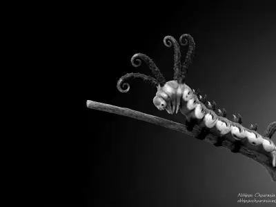 Caterpillar Brahmin moth 3D model  3D model