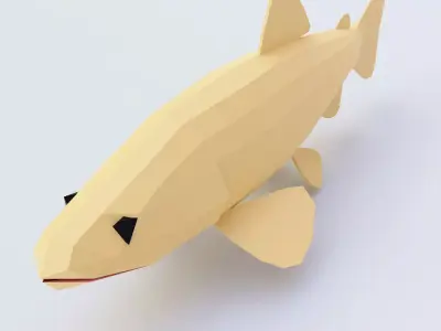 Brown Trout fish 3d model  Low-poly 3D model