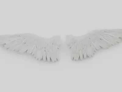 Angel or bird wings 3D model
