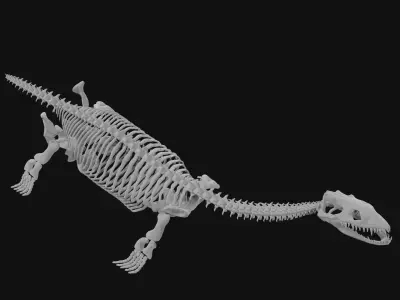 Plesiosaur skeleton 3D model