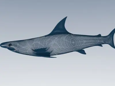 Shark flying in air Low-poly 3D model