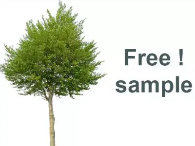Free sample from my 83 Cutout Trees Collection Texture