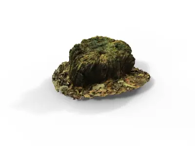 Forest Tree Stump 4K -Part 4- Free low-poly 3D model