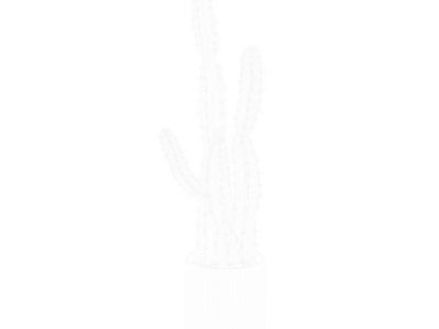  Saguaro Cactus Plant Model 