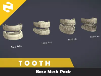 Base Mesh Pack - Tooth Free low-poly 3D model