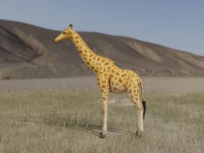 Giraffe Low-poly 3D model