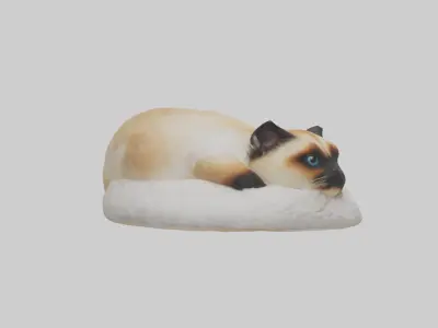 Himalayan Cat resting model Low-poly 3D model