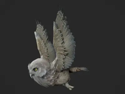 animated owl Low-poly 3D model