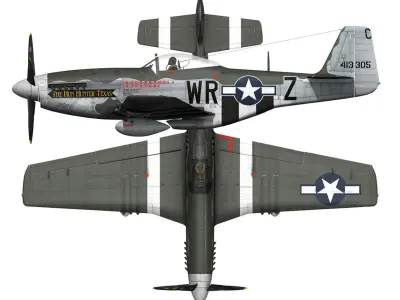 North American P-51D - The Hun Hunter Texas  3D model
