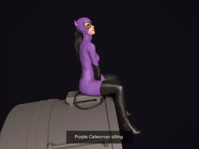 Cat over the signal 3D Model Collection